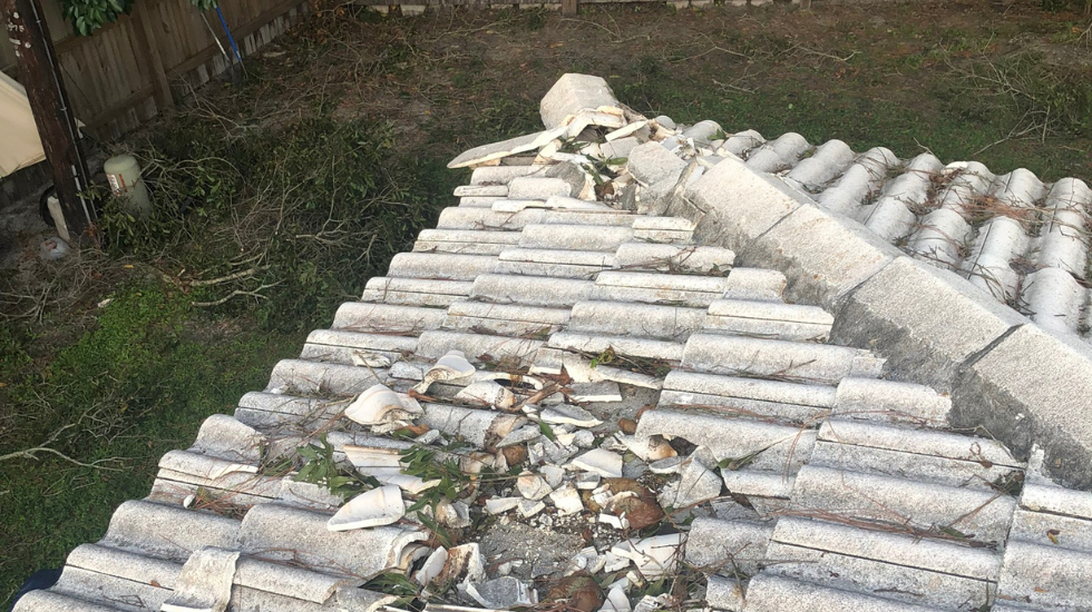 What Does an Insurance Adjuster Look for During a Roof Inspection
